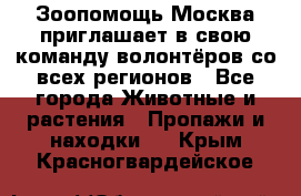 Зоопомощь.Москва приглашает в свою команду волонтёров со всех регионов - Все города Животные и растения » Пропажи и находки   . Крым,Красногвардейское